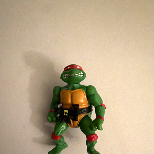 Teenage mutant ninja turtles - ninja,