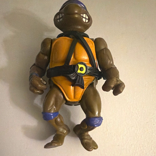 Teenage mutant ninja turtles - ninja,