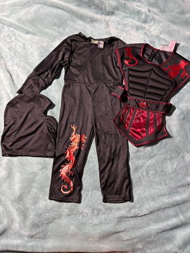 Ninja costume complete - ninja,
